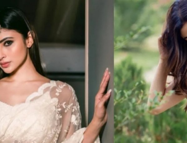 आज से शुरू होगा सीसीपीएल-3 का रोमांच, रायपुर रायनोज और राजनांदगांव पैंथर्स के बीच उद्घाटन मुकाबला