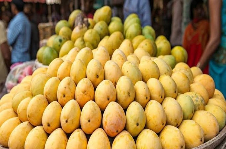 बाजार के केमिकल वाले आमों से बचें; इन 4 आसान देसी तरीकों से घर पर ही पकाएं एकदम मीठे और रसीले आम