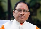 विकास के लिए कई बार पेड़ काटना जरूरी: सीएम साय 