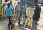 बाल संप्रेक्षण गृह में सुरक्षा गार्ड की हत्या, चार नाबालिग बंदी फरार; पुलिस ने शुरू की तलाश