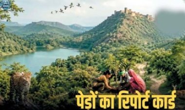 छत्तीसगढ़ में बढ़ा ग्रीन कवर : वन एवं वृक्ष आवरण में 683.62 वर्ग किमी की बढ़ोतरी