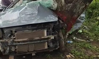 भिलाई में पेड़ से टकराई कार दो नौजवानों की मौके पर मौत