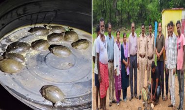वन विभाग की बड़ी कार्रवाई, 11 जिंदा कछुओं के साथ आरोपी गिरफ्तार