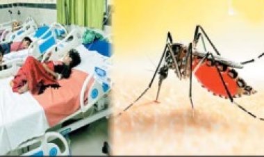 कांकेर में मलेरिया से दस दिन में तीन मौतें : बस्तर में इस साल अब तक 8426 मरीज
