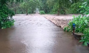 भारी बारिश से बीजापुर में जनजीवन प्रभावित, नदी-नाले उफान पर; स्कूल और आंगनबाड़ी दो दिन बंद