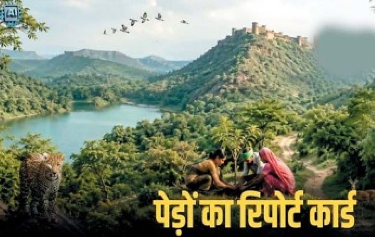 छत्तीसगढ़ में बढ़ा ग्रीन कवर : वन एवं वृक्ष आवरण में 683.62 वर्ग किमी की बढ़ोतरी