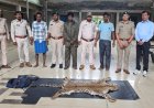 तेंदुए की खाल तस्करी का भंडाफोड़, 3 आरोपी गिरफ्तार; दो बाइक और खाल बरामद