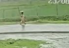 प्रदेश में भारी बारिश का चेतावनी, मुंगेली में महिला पर बिजली गिरी