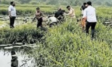 छात्रा को लिव-इन पार्टनर ने मार डाला : गला घोंटा, लाश छोडक़र भागा