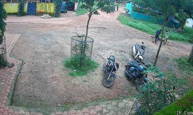 शराब के नशे में विवाद के बाद लकड़हारे की हत्या, दो साथी हिरासत में; CCTV में कैद हुई वारदात