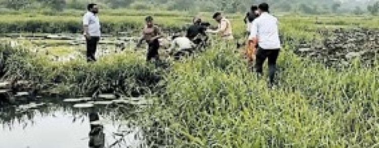 छात्रा को लिव-इन पार्टनर ने मार डाला : गला घोंटा, लाश छोडक़र भागा