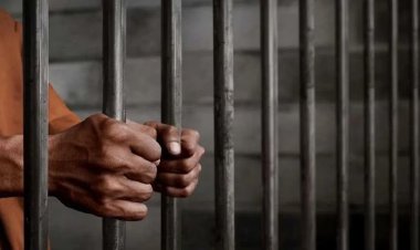 चरित्र शंका में हथौड़े से वार कर पत्नी की हत्या करने वाले पति को उम्रकैद: बिलासपुर कोर्ट ने सुनाई आजीवन कारावास की सजा