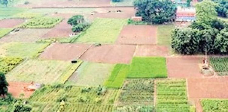 कृषि भूमि पर अब अस्पताल, मॉल नहीं आवासीय में गोदाम-कबाडख़ाने पर रोक