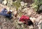 सूरजपुर में सनसनीखेज वारदात: सड़क किनारे बेटे और घर के बंद कमरे में शिक्षिका मां का शव मिलने से हड़कंप