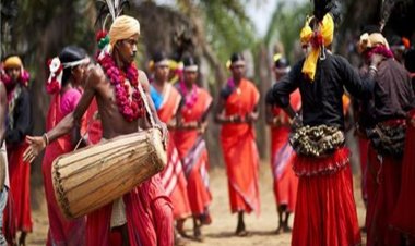 इस बार राज्योत्सव, ‘नक्सलमुक्त छत्तीसगढ़’ और ‘विकसित छत्तीसगढ़’ की थीम पर 
