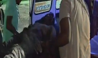 धमतरी के रत्नाबांधा में दर्दनाक सड़क हादसा: अनियंत्रित वाहन की चपेट में आने से युवक की मौत; इलाके में शोक की लहर