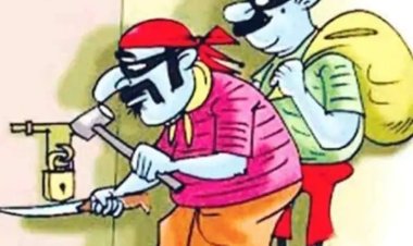 बिलासपुर में दिनदहाड़े चोरी करने वाले गिरोह का पर्दाफाश, 3 गिरफ्तार; 10 वारदातों का खुलासा
